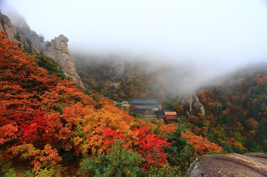 Seoul: Mt. Seoraksan National Park Autumn Foliage Day Tour - Temples in the trees: adding a calm layer to your day