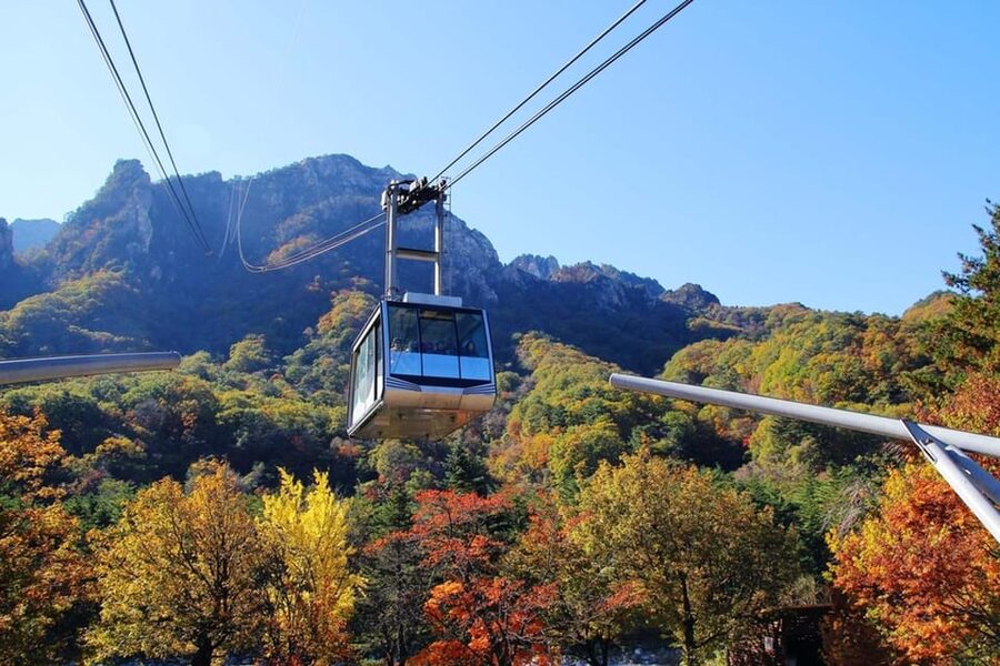 Seoul: Mt. Seoraksan National Park Autumn Foliage Day Tour - Price and value: is $60 a good deal for Seoraksan?
