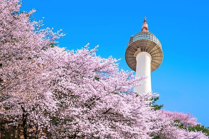 Seoul: N Tower Observatory Ticket - Timing for photos: late afternoon to night is the sweet spot