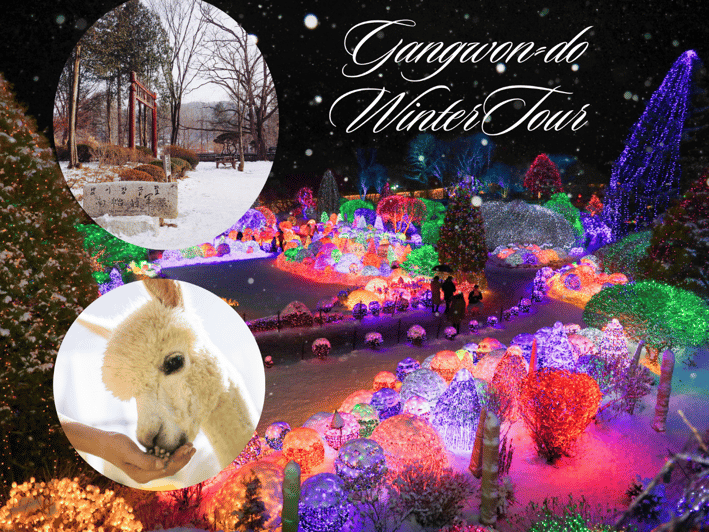 Seoul: Nami and K-Garden with Optional Alpaca Winter Tour - Key points before you go