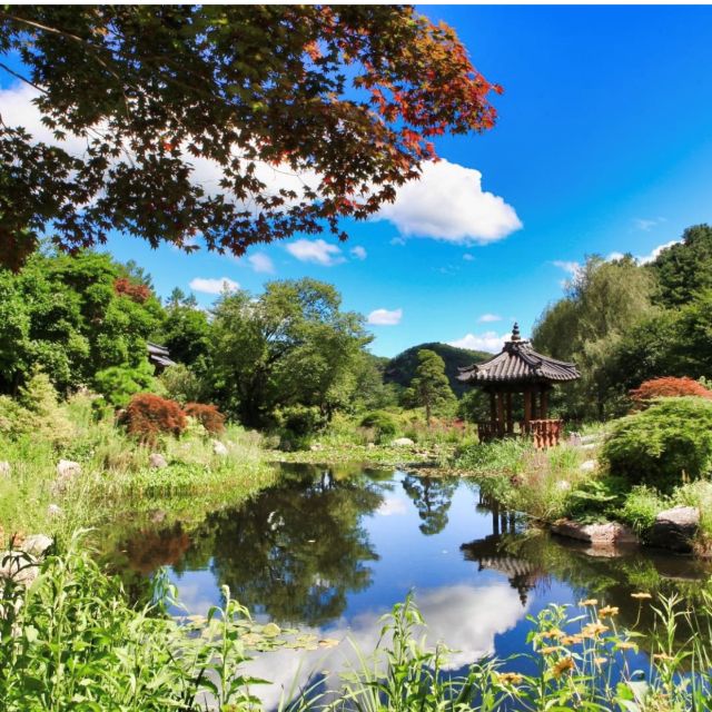 Seoul: Nami and Petite France Tour with Optional K-Garden - Should You Book This Nami Island and Petite France Tour?