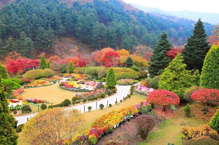 Seoul: Nami and Petite France Tour with Optional K-Garden - Getting From Seoul to Gyeonggi Province Without Stress