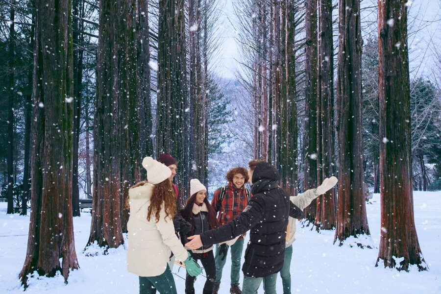 Seoul: Nami and Petite France Tour with Optional K-Garden - Optional K-Garden: When You Want the Calm Option