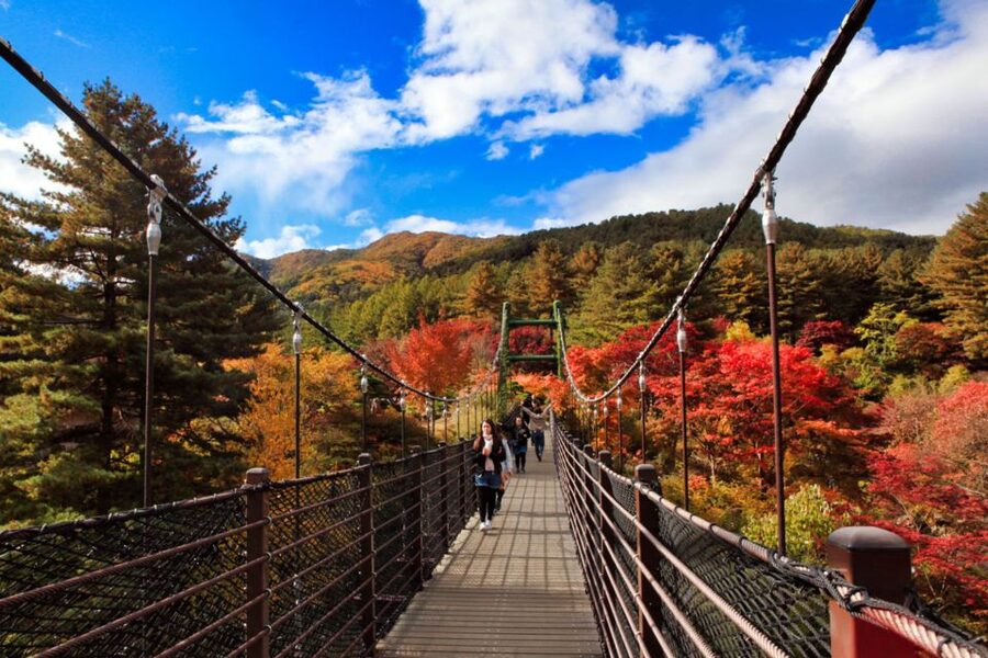 Seoul: Nami and Petite France Tour with Optional K-Garden - Price and Logistics: What $50 Really Covers