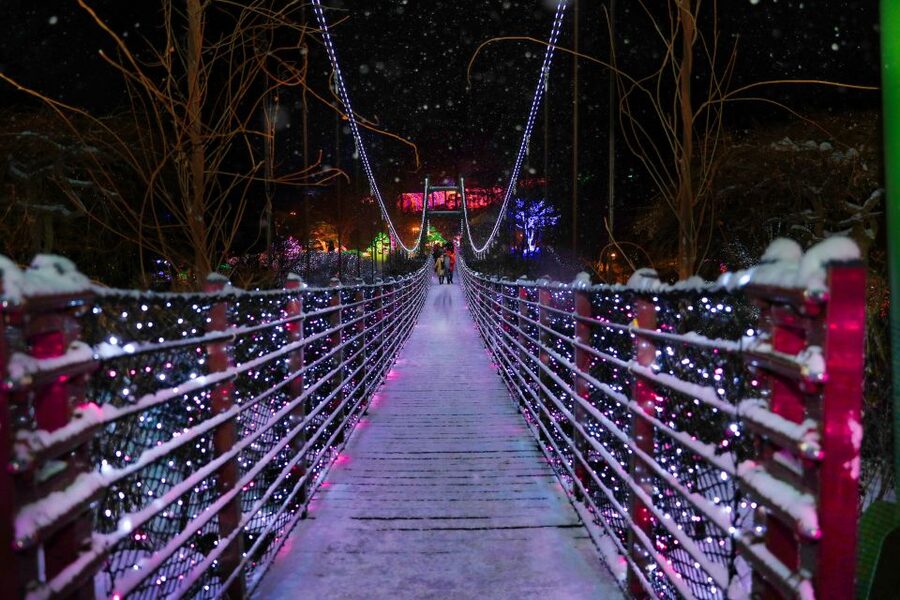 Seoul: Nami and Petite France Tour with Optional K-Garden - Best Fit for This Seoul Day Trip (and Who Might Feel Crunched)