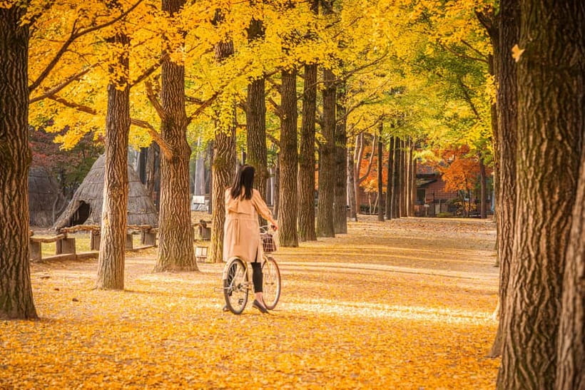 Seoul: Nami Island and Garden of Morning Calm opt Railbike - A Calm Escape From Seoul: Smooth logistics for a big day
