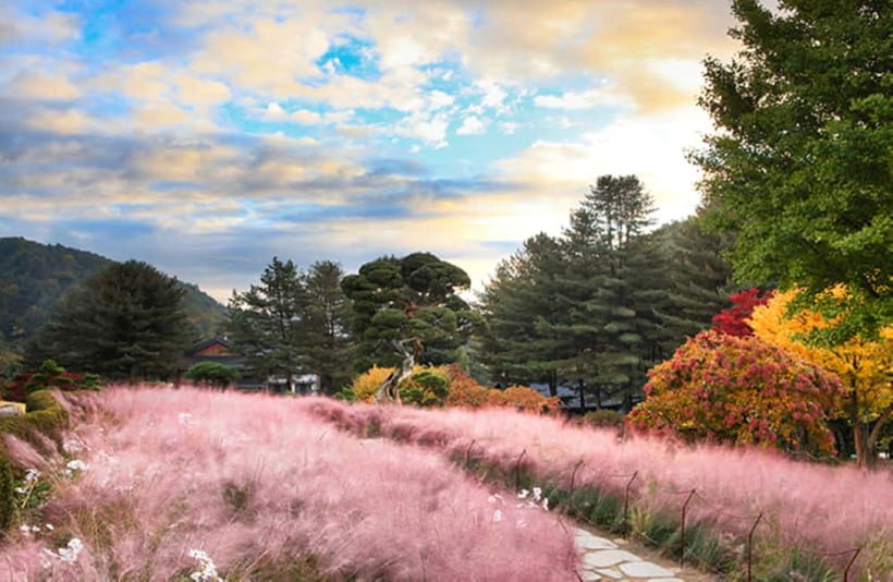 Seoul: Nami Island and Garden of Morning Calm opt Railbike - Gangchon Rail Park rail bike option: slow pedaling on an old track