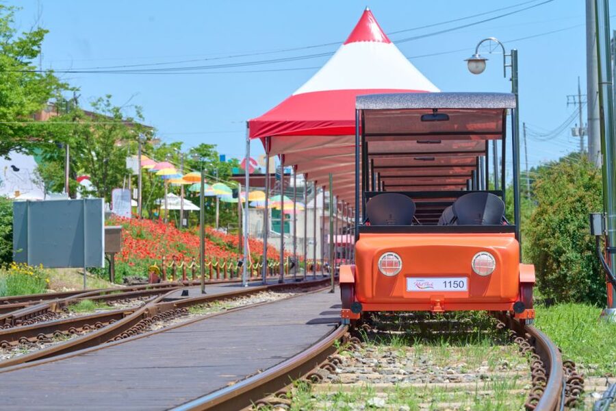 Seoul: Nami Island and Garden of Morning Calm opt Railbike - Price and value: why $51 can feel fair on a long day