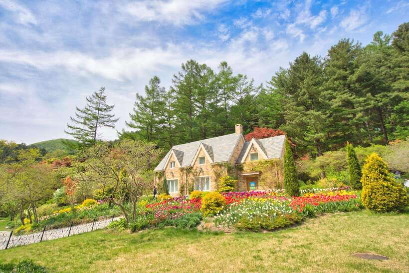 Seoul: Nami Island, Garden and Petite France (opt. Railbike) - Central Seoul pickup, coach ride, and how the day stays organized