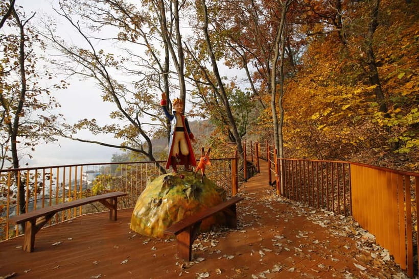 Seoul: Nami Island, Garden and Petite France (opt. Railbike) - Who this day trip suits best (and who should skip it)