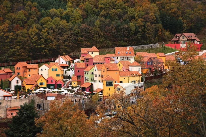 Seoul: Nami Island, Garden and Petite France (opt. Railbike) - Garden of Morning Calm: festivals, seasonal lights, and an easy start