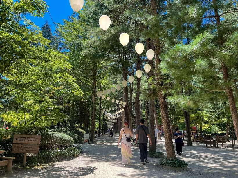 Seoul: Nami Island & Petite France Tour with Railbike Option - Petite France and the Italian Village: photo time with real time limits