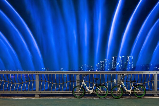 Seoul Night Tour with Han River Cruise and Gyeongbokgung Palace - Price and logistics: what $245 buys you