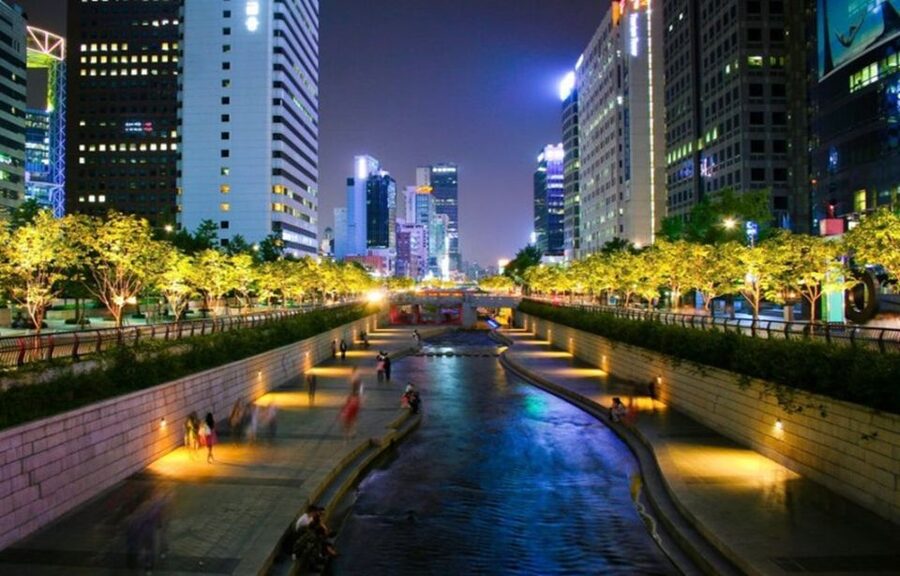 Seoul: Nighttime Tour of Palace, Market, Naksan Park & More - Why This 5-Hour Seoul Night Tour Works So Well