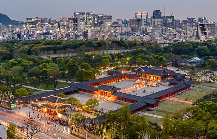 Seoul: Nighttime Tour of Palace, Market, Naksan Park & More - Gwangjang Market Dinner and Shopping: Eat Like You Mean It