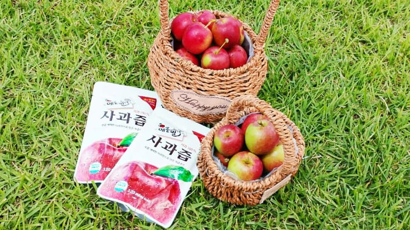 Seoul: Pocheon Art Valley, Garden and Fruit Picking Day Tour - Picking the right season tour: strawberries or apples