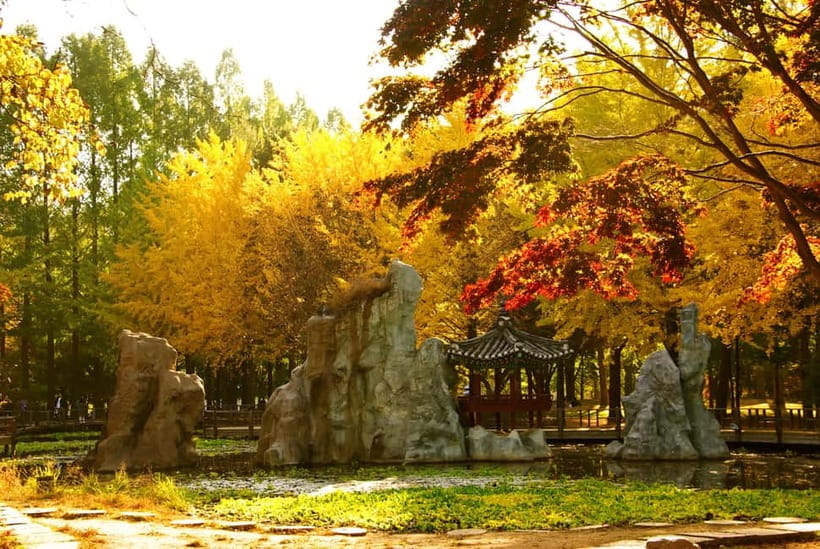 Seoul: Pocheon Art Valley, Garden and Fruit Picking Day Tour - Garden of Morning Calm: the stroll, the photos, and the Winter Light Festival timing