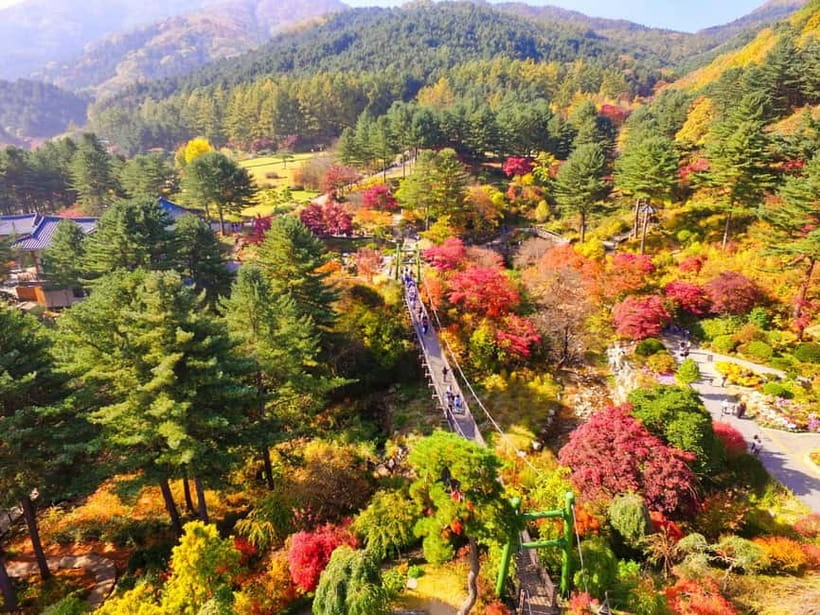 Seoul: Pocheon Art Valley, Garden and Fruit Picking Day Tour - Fruit farm time: what strawberry picking and apple programs are like