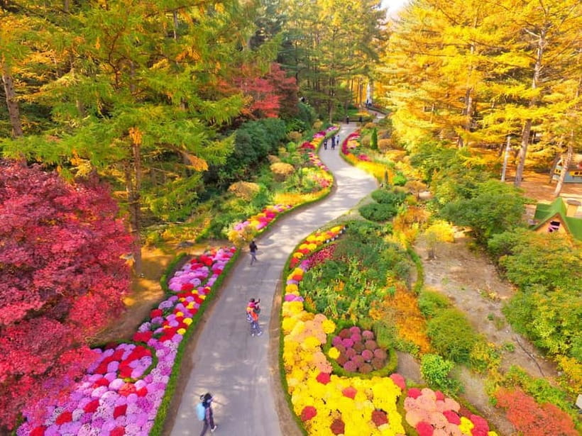 Seoul: Pocheon Art Valley, Garden and Fruit Picking Day Tour - Pocheon Art Valley: quarry-to-sculpture setting by a blue lake