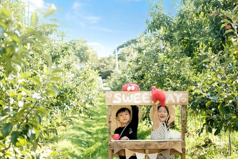 Seoul: Pocheon Art Valley, Garden and Fruit Picking Day Tour - The monorail round trip: why it saves time and energy