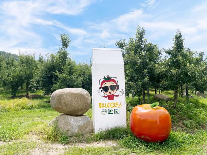 Seoul: Pocheon Art Valley, Garden and Fruit Picking Day Tour - Timing and transit: getting there from Seoul the comfortable way
