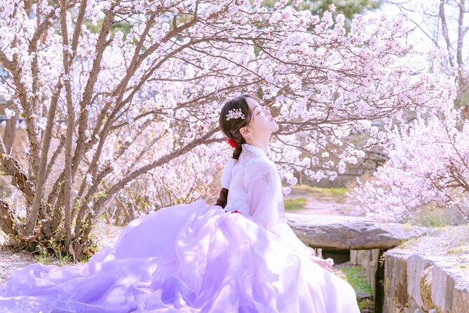 Seoul Premium Hanbok Rental at Arihanbok Photoshoot Included - Key Highlights You Should Know