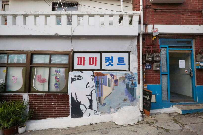 Seoul: Private Car Tour with Licensed Professional Guide - FAQ