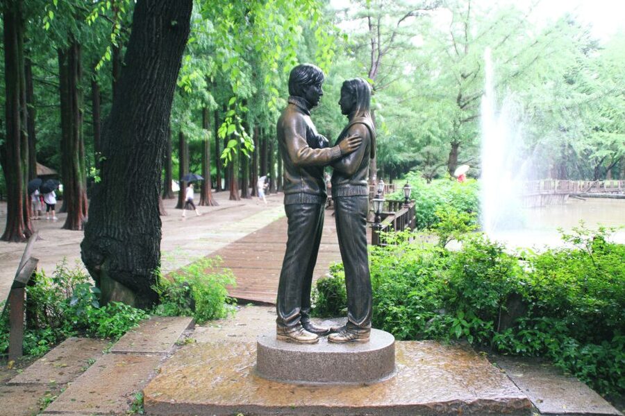 Seoul: Private Customizable Tour to Nami Island and More - Key highlights to look for
