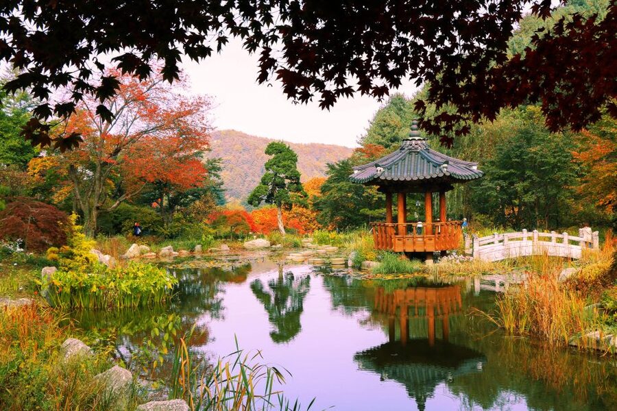 Seoul: Private Customizable Tour to Nami Island and More - Food and admission planning, so you do not waste time