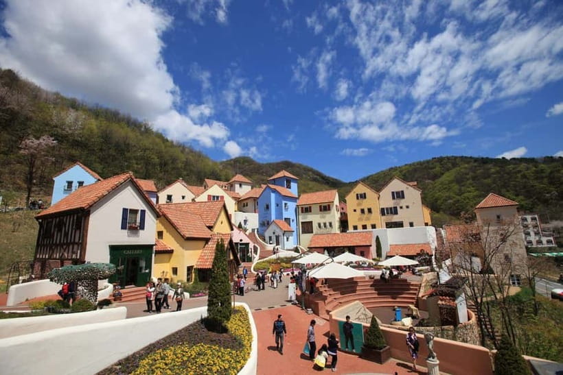 Seoul: Private Tour to Nami Island, Garden, Petite France - Key highlights you should care about