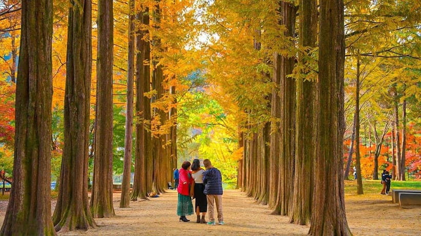 Seoul: Private Tour to Nami Island, Garden, Petite France - Nami Island details you’ll actually enjoy: waterfalls, statues, animals