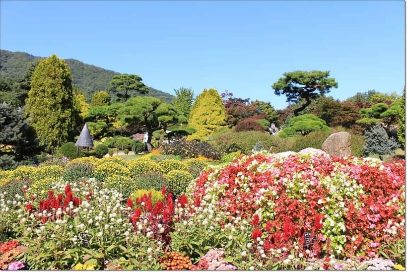 Seoul: Private Tour to Nami Island, Garden, Petite France - Nami Island Namiseom ferry, tree-lined walks, and easy getting-around