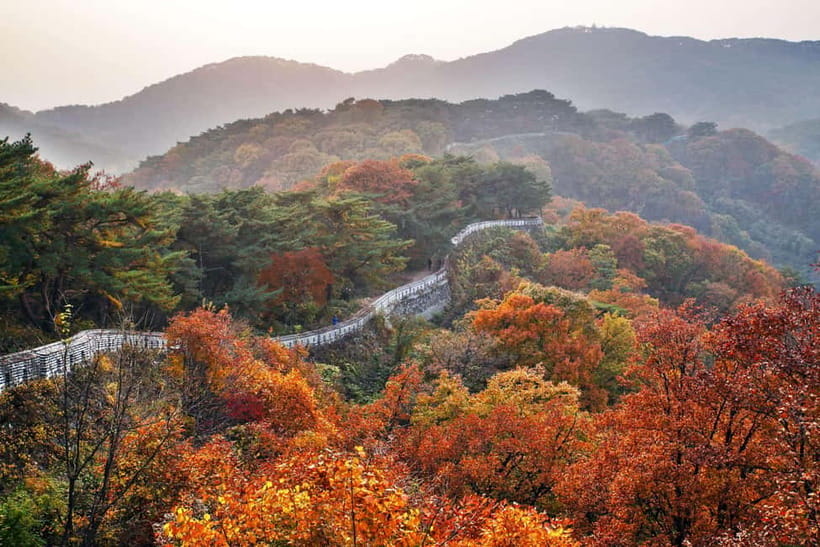 Seoul: Royal Tomb of King Sejong & Icheon Ceramic (EG Tour) - Yeongneung: King Sejong’s Forest Tomb and What You’re Meant to Notice