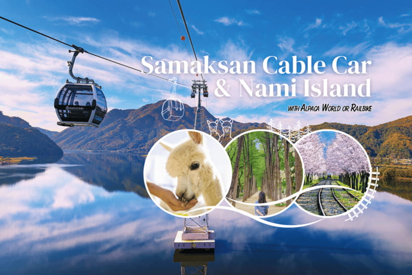 Seoul: Samaksan Cable Car & Nami with Alpaca World/Railbike - Key points before you go
