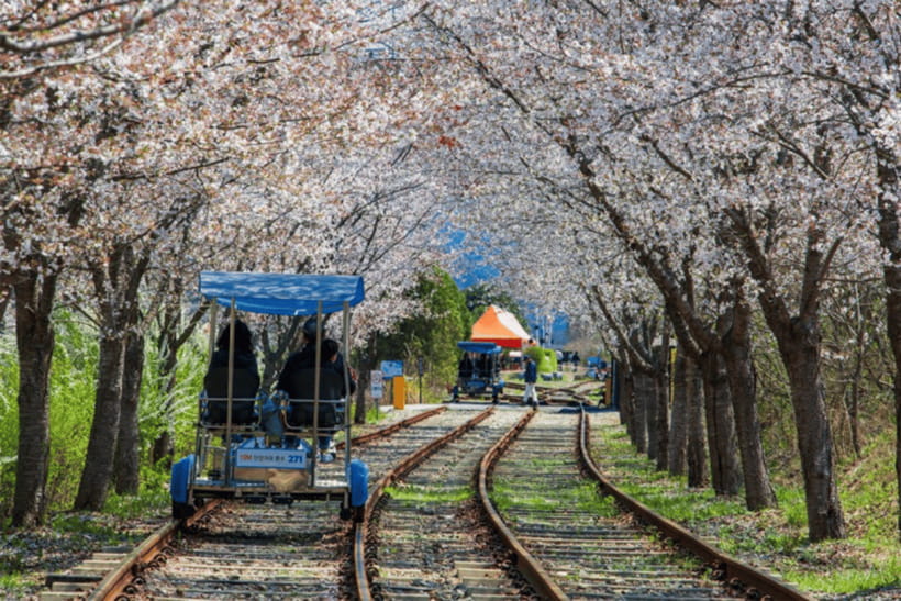 Seoul: Samaksan Cable Car & Nami with Alpaca World/Railbike - Summer option: Chuncheon Mulle-gil canoeing June to August