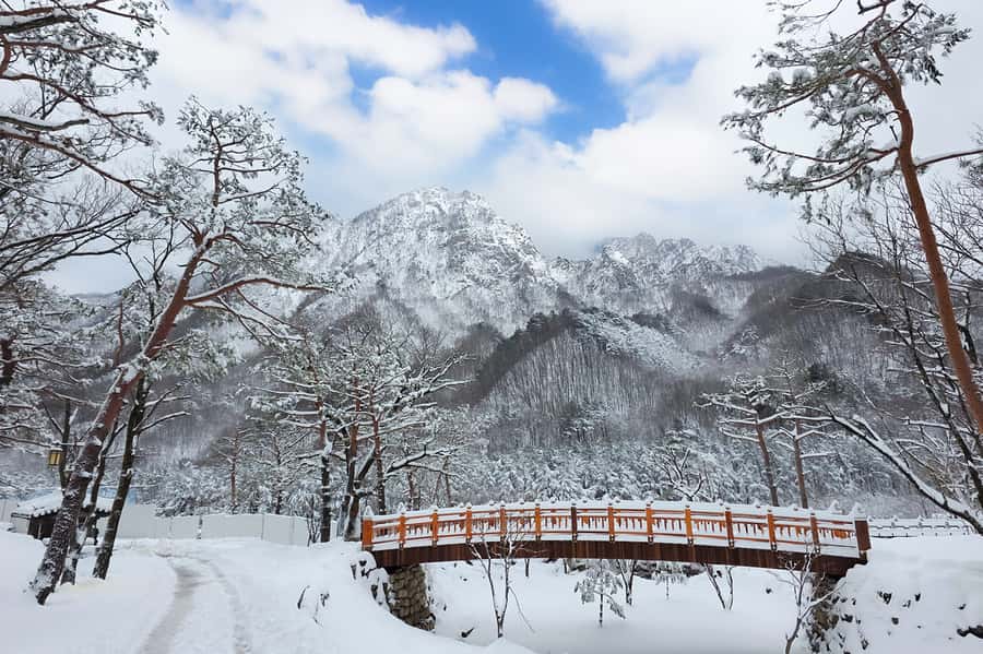 Seoul: Seorak Mountain+Nami Island+Eobi Ice Valley Tour - Quick hits you’ll care about