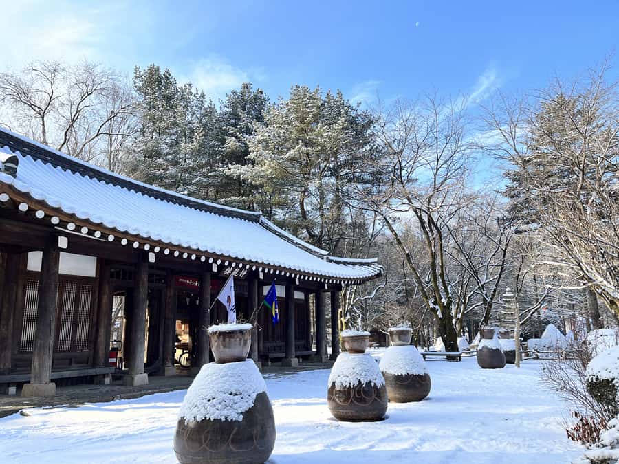 Seoul: Seorak Mountain+Nami Island+Eobi Ice Valley Tour - Eobi Ice Valley and the frozen waterfall effect