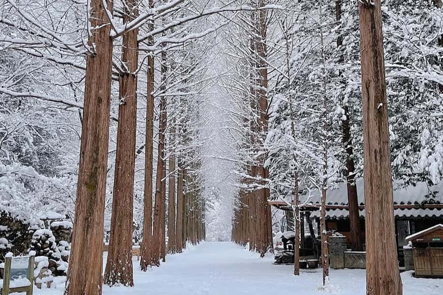 Seoul: Seorak Mountain+Nami Island+Eobi Ice Valley Tour - Transfers and timing across three far winter stops