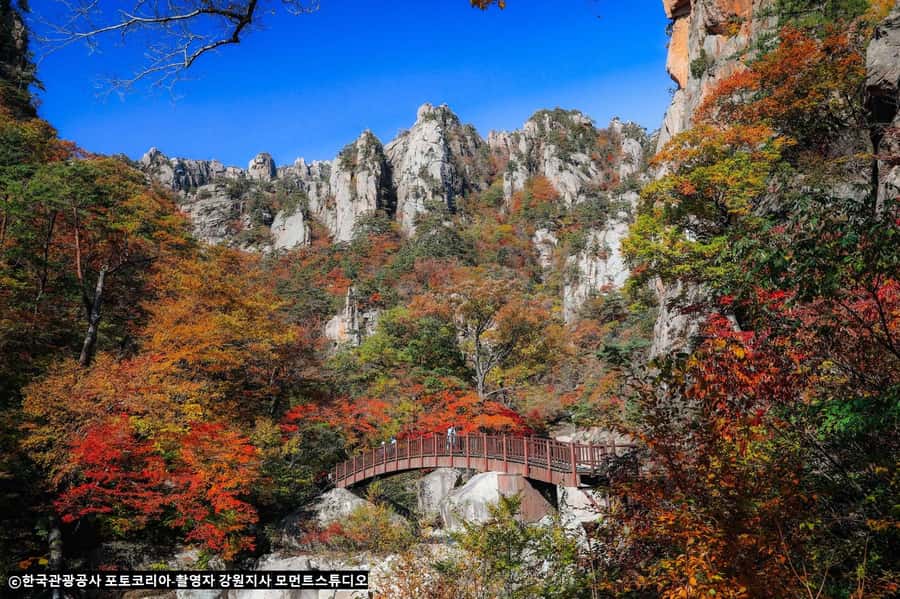 Seoul: Seorak Mountain+Nami Island+Eobi Ice Valley Tour - Price and value: what $79 buys, and what costs extra