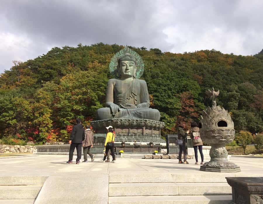 Seoul: Seorak Mountain+Nami Island+Eobi Ice Valley Tour - Should you book this Seorak Mountain plus Nami Island plus Eobi Ice Valley tour?