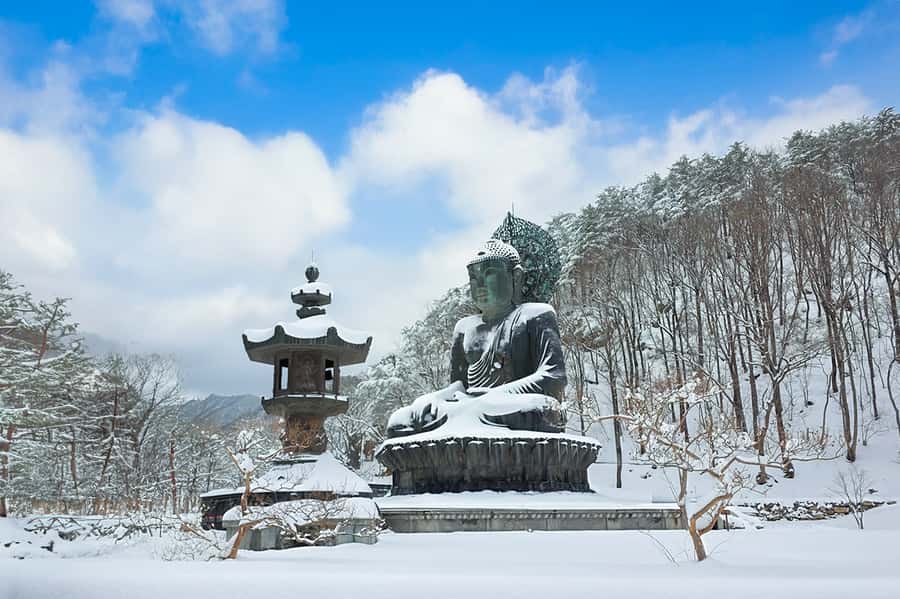 Seoul: Seorak Mountain+Nami Island+Eobi Ice Valley Tour - Seoraksan, Tongil Daebul, and Sinheungsa: the mountain stop that starts strong