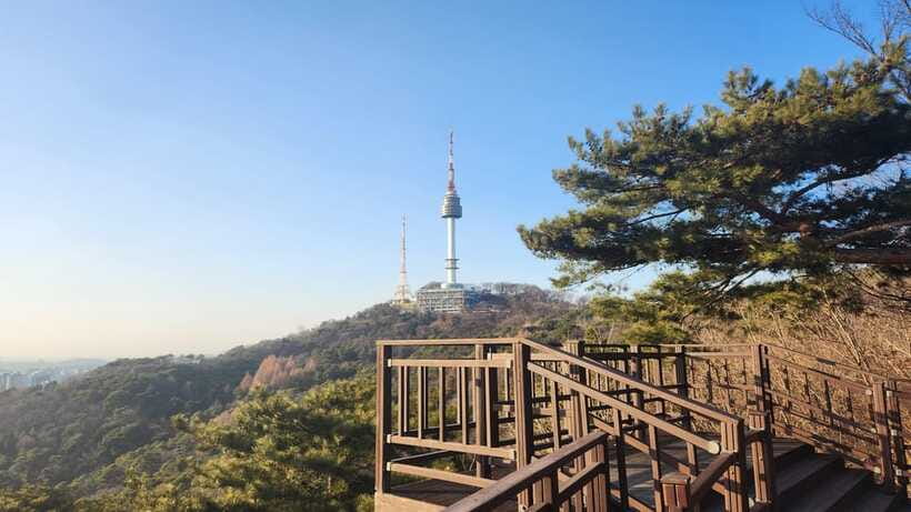 Seoul: Services of a Local for a Day (Paperwork/Tour/Fun) - Fun activities, shopping time, and a neighborhood walk