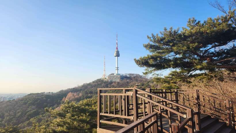 Seoul: Services of a Local for a Day (Paperwork/Tour/Fun) - Meet Sooyoung Cha, then set your win for the day