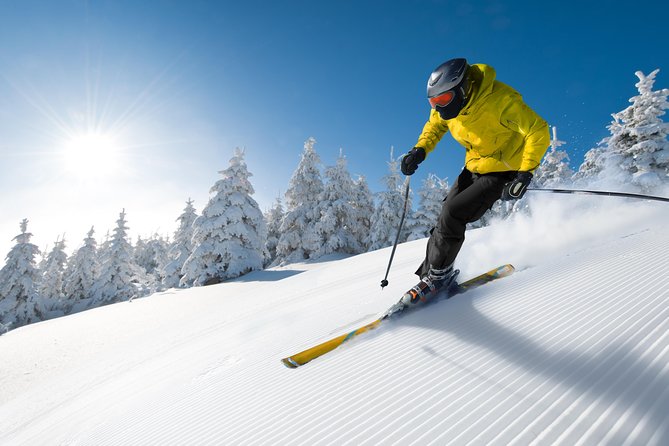 Seoul Ski Tour at Jisan Forest Resort - Beginner lesson value: where the tour earns its keep