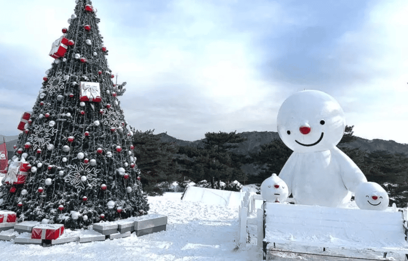 Seoul: SnowyLand in Vivaldi Park with Nami or Alpaca - Seoul Winter Day Trip Value: What This $70 Gets You