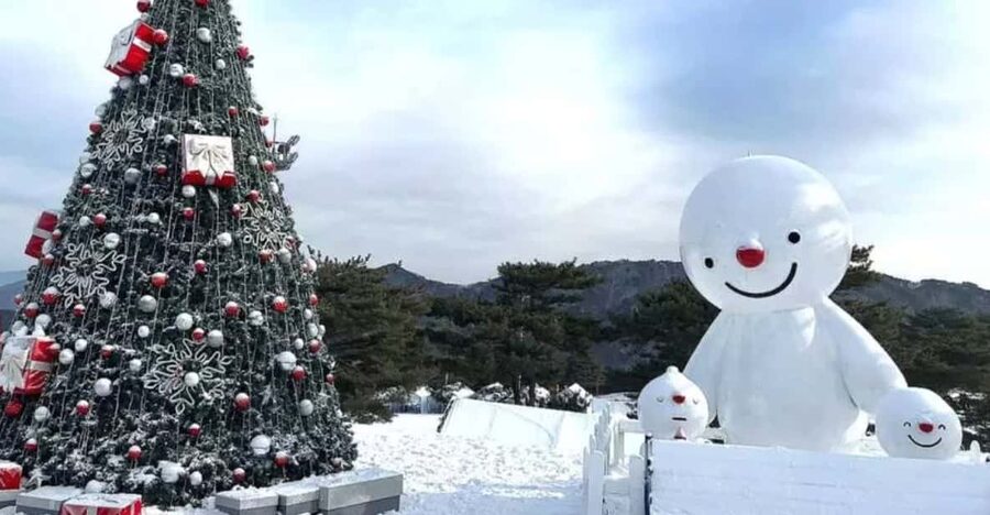 Seoul: SnowyLand in Vivaldi Park with Nami or Alpaca - Getting There and Back: Bus Time, Comfort, and Pace