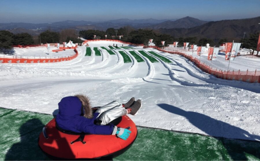 Seoul: SnowyLand in Vivaldi Park with Nami or Alpaca - Snowy Land in Vivaldi Park: Sledding, Snow-Time, and the Gondola View