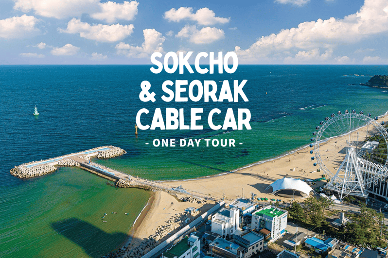 Seoul: Sokcho beach, market, hot spring and Seorak Cable Car - Sokcho Tourist and Fishery Market: snack your way through local seafood
