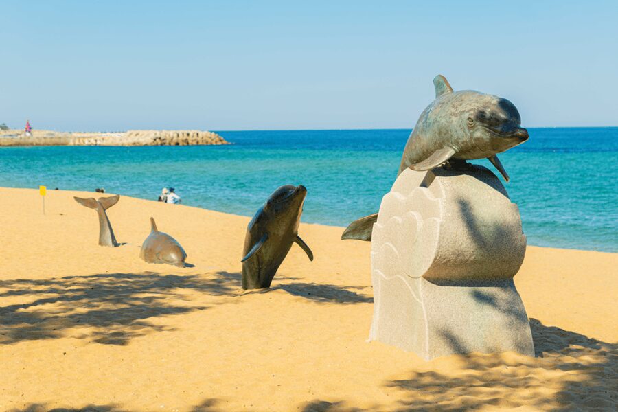 Seoul: Sokcho beach, market, hot spring and Seorak Cable Car - Guides on the ground: why friendly help matters