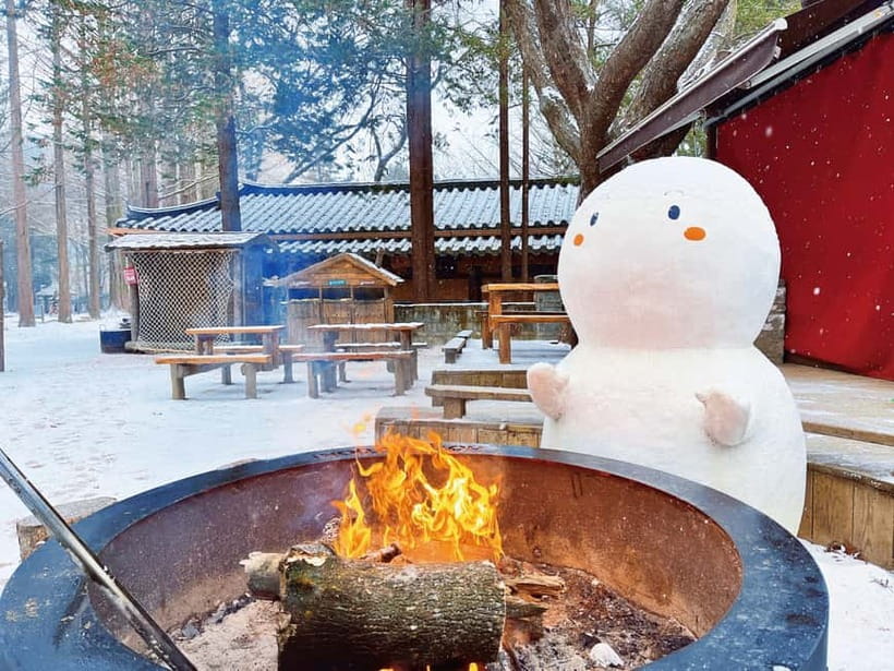 Seoul: Strawberry Picking & Eobi Ice Valley & Nami Island - Nami Island in Snow: Tree-Lined Paths and a Slow River Walk